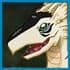 Plesiomon Evolution Requirements - Gomamon (Free)
